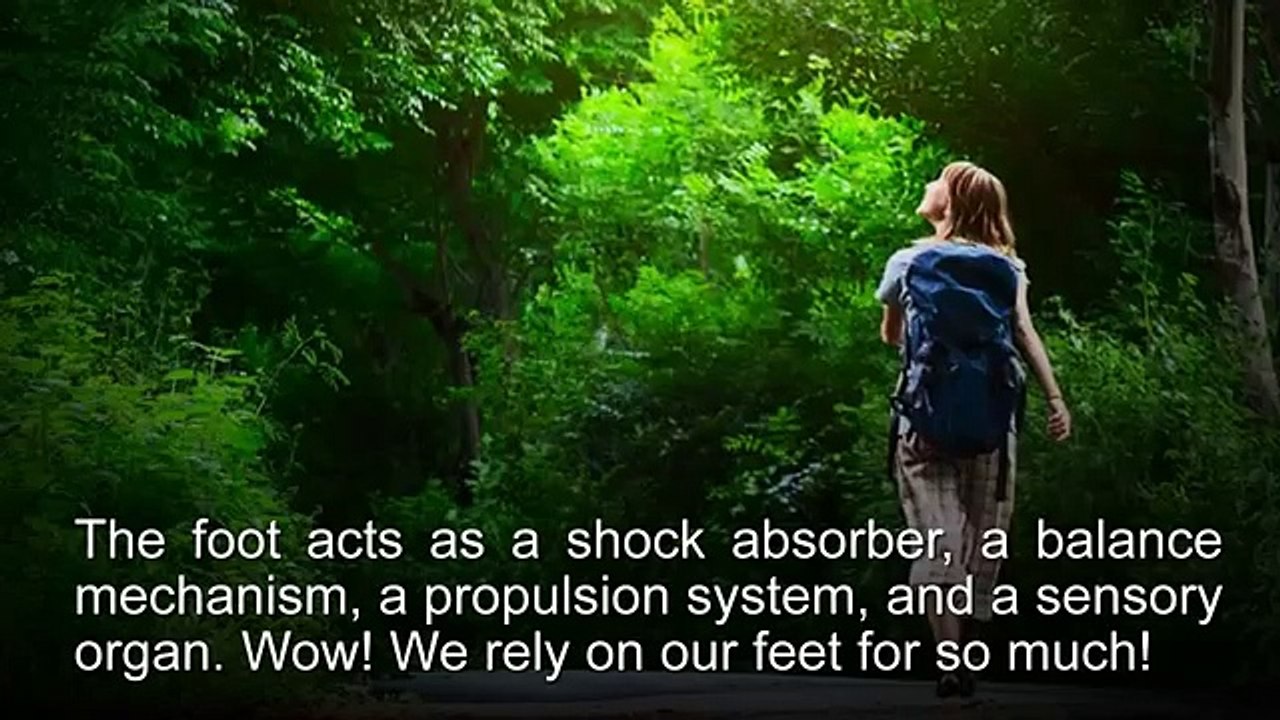 Best Plantar Fasciitis Relief Denver - 303-974-4440 - Dr. Bradley Bosick D.C.