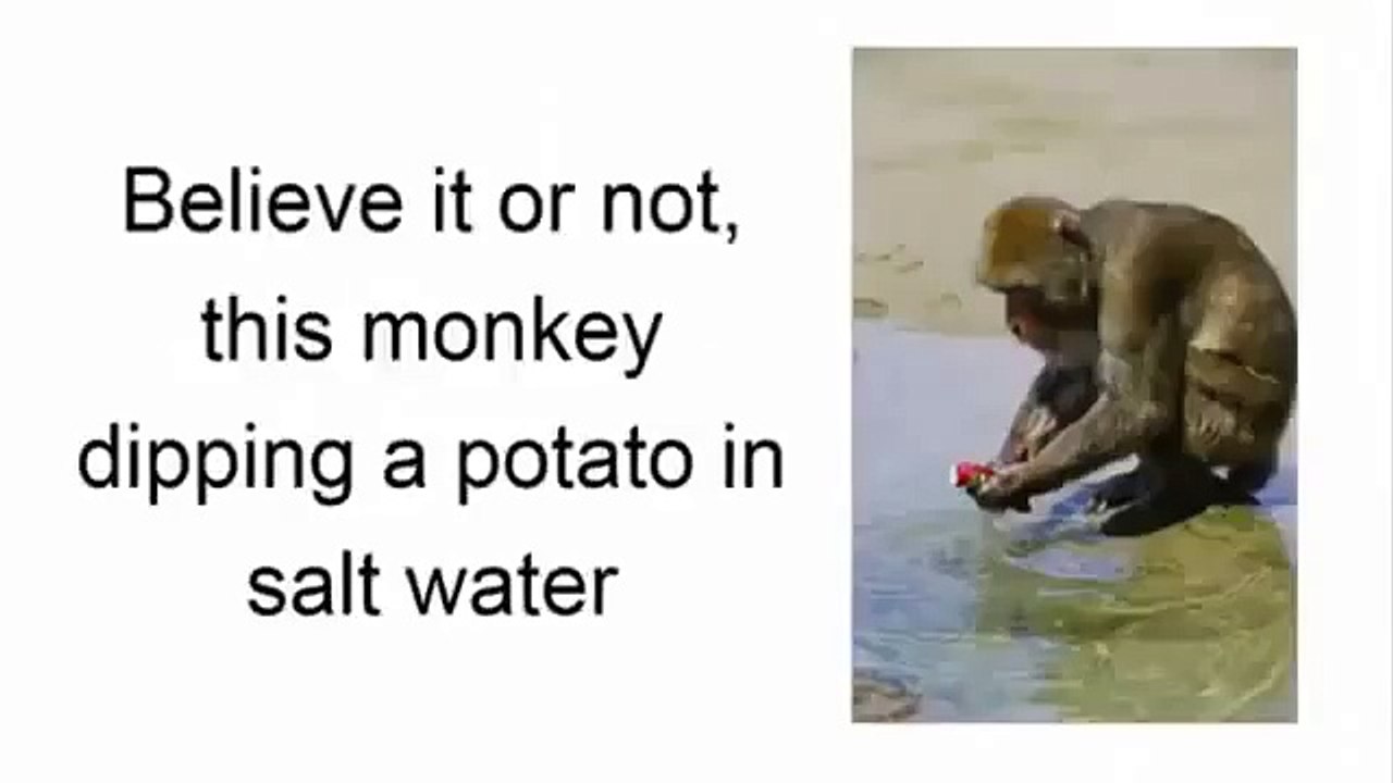 Pure Reiki Healing Master Review By Owen Coleman – Complete Guide to Be a Reiki Healer!