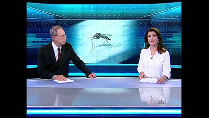 OMS decreta emergência internacional por causa do zika vírus