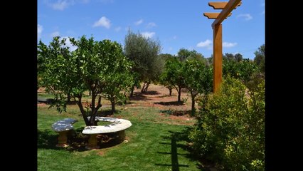 Portugal Property Investor Immigration