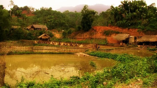 Вьетнам- звуки и пейзажи - Vietnam Sights & Sounds. Туры во Вьетнам - копия