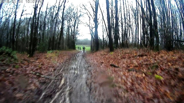 Rando VTT Loire Aubance JUIGNÉ SUR LOIRE 31-01-2016