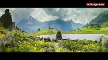 Heidi - Bande annonce