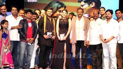 Shourya Audio Launch