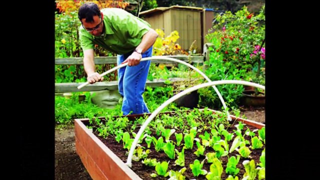 Сделайте оригинальные грядки на даче!