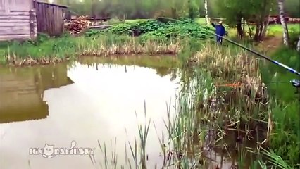 who stole the fish ? watch everybody (more laugh)
