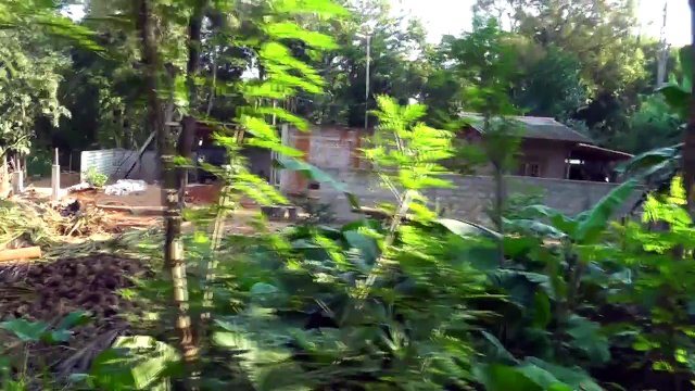 ШРИ ЛАНКА - КАТАНИЕ НА СЛОНАХ ПО ДЖУНГЛЯМ ОСТРОВА