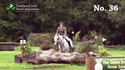 TIHA Hunter Show and Go 2015 - 36