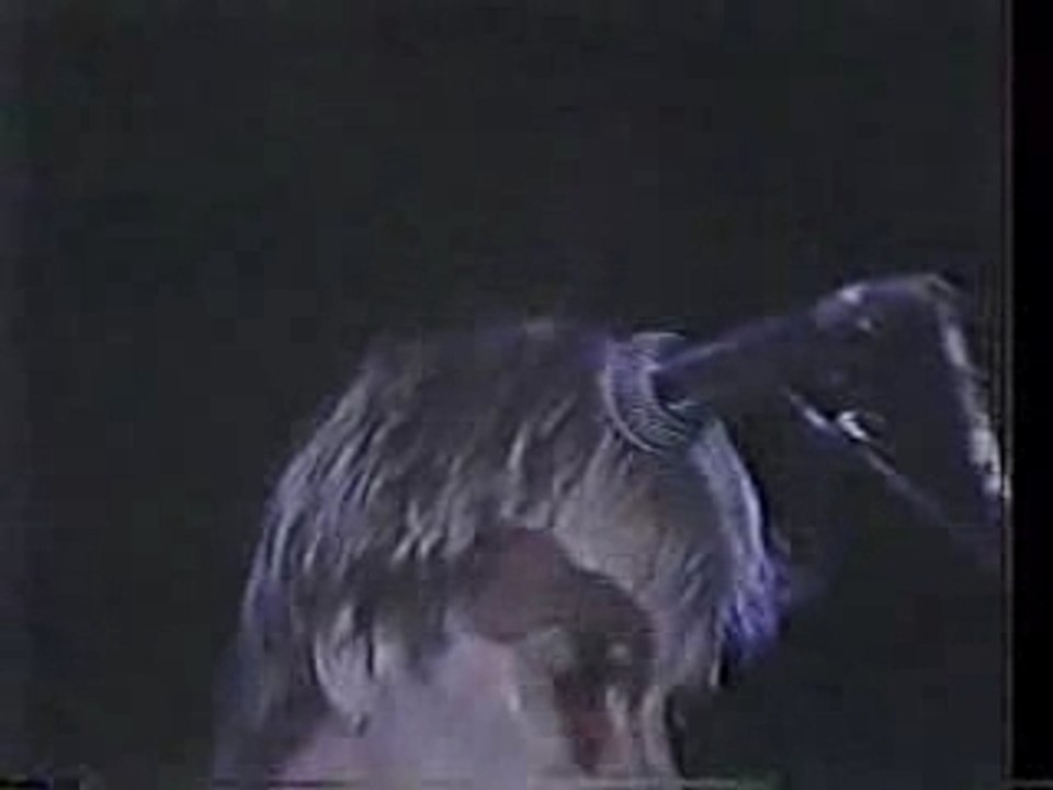 THE POLICE - BED'S TO BIG WITHOUT YOU +