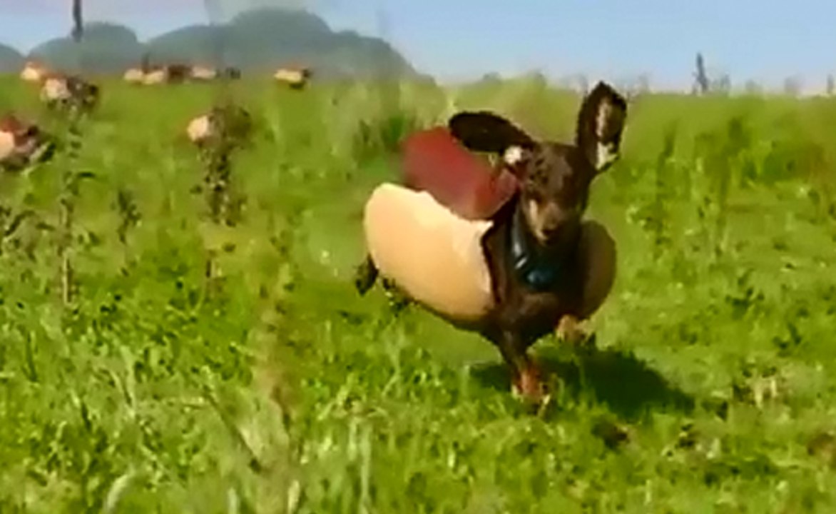 The new Heinz Superbowl commercial!