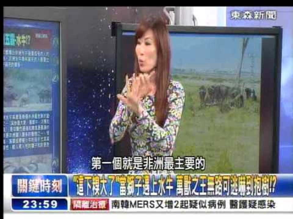 關鍵時刻 萬獸之王無路可逃嚇到抱樹? 舒夢蘭20150526-05
