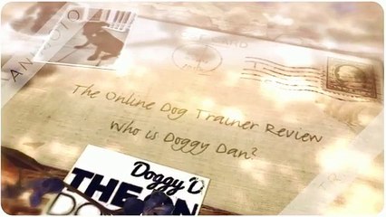 The Online Dog Trainer Review