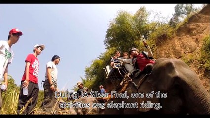 Voici pourquoi vous ne devez jamais monter sur le dos d'un éléphant en voyage!