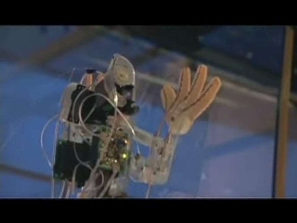 Stickybot-2