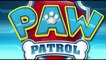 Paw Patrol : La Pat' Patrouille | Le fantôme | NICKELODEON JUNIOR