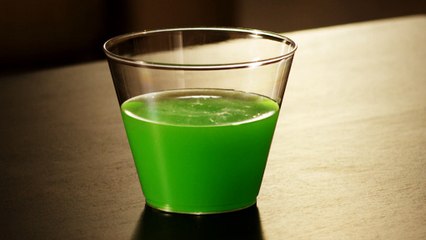 Kid's Choice Awards 2016 | Nickelodeon