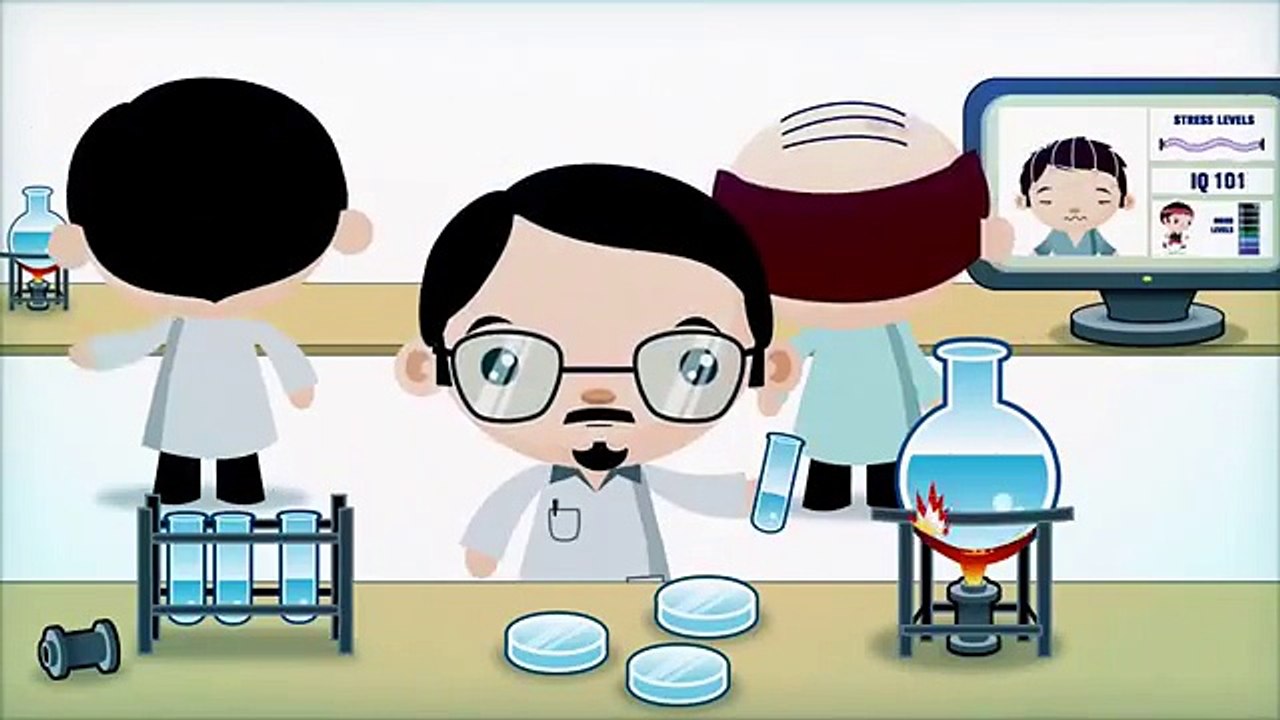 What is the Brain Evolution System?