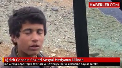 15 Yaşındaki Iğdırlı Çobanın Sözleri Sosyal Medyanın Dilinde