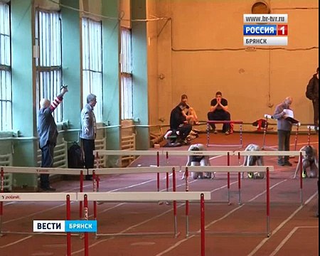 Лёгкая атлетика.Мемориал В.Самотёсова