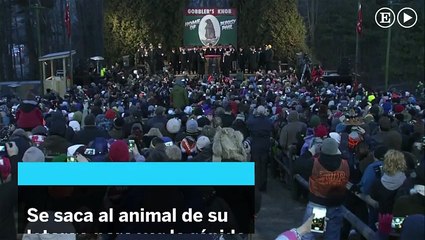 El día de la marmota y lo que ha predicho