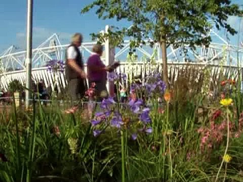 Олимпиада- лёгкая атлетика началась