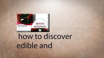 EMP Survival Course Review.