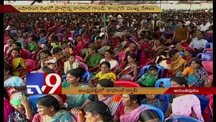 Union Govt, not Congress promised AP special status - Rahul Gandhi