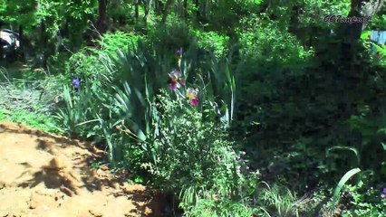 20160129 St Felix de Paillieres pollution  l' ADAMVM Part02 les interventions du public