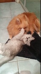 Expressing Love to My Friend 💖