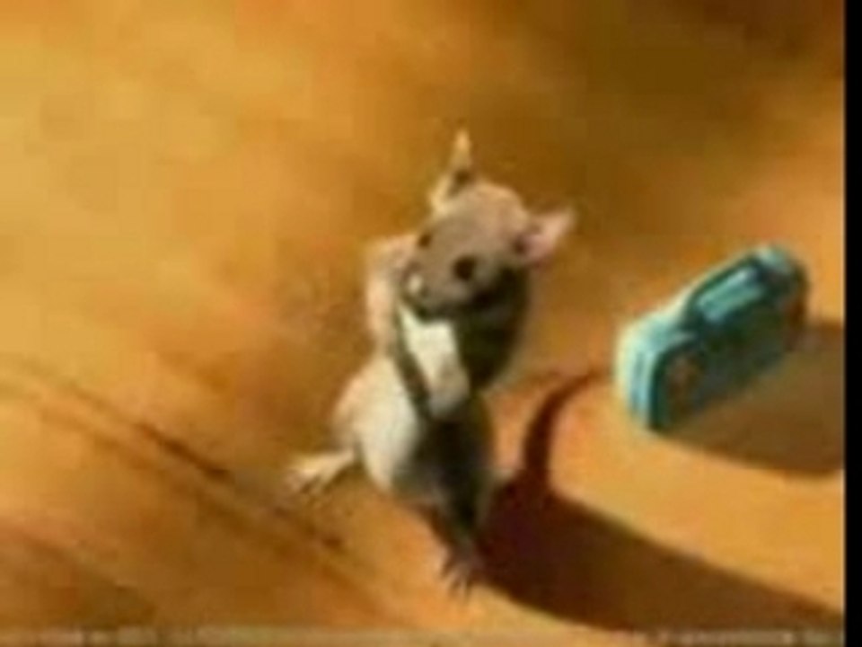 Souris