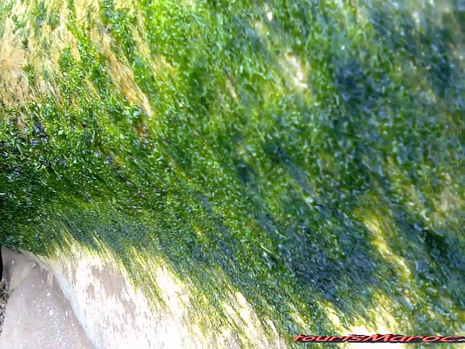 la plage de Laayoune-maroc... la playa de la ciudad de Aiún-Marruecos