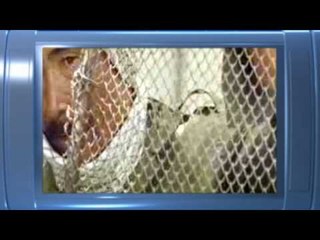 No One Knows About Persian Cats - Trailer