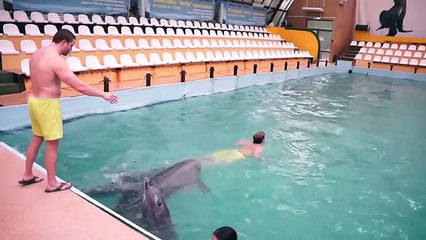 Дельфины зажигают!) Люди плавают вместе с дельфинами)