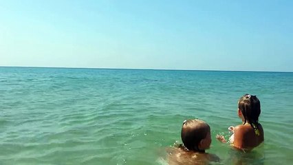 Дельфины на пляже