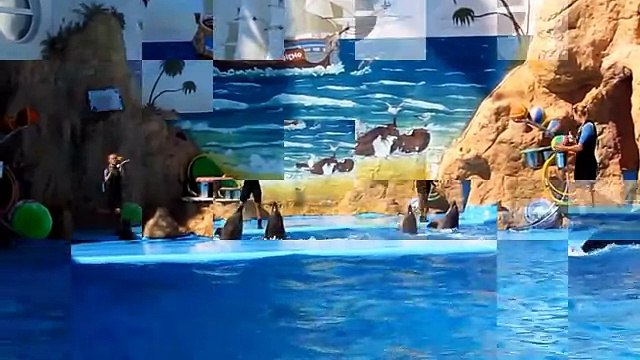 Дельфины! Дельфинарий Немо! Одесса! - Dolphinarium Nemo in Odessa