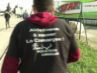 La FNSEA plaide à l'Elysée la cause d'agriculteurs "en colère" et "désespérés"
