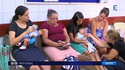 Virus Zika : l'OMS lance l'alerte pour une urgence mondiale
