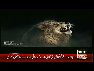 Karachi kings ke Fawad Alam Ka Promo