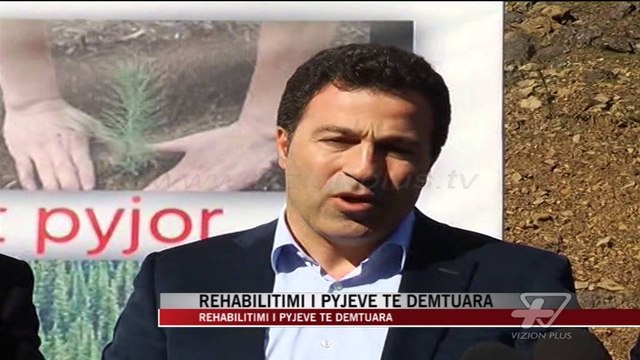 Rehabilitimi i pyjeve të dëmtuara - News, Lajme - Vizion Plus