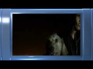 No One Knows About Persian Cats - Trailer