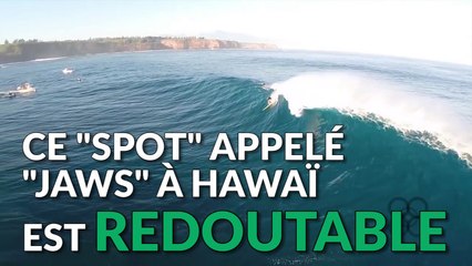 Il chute d'une vague monstrueuse à Hawaï