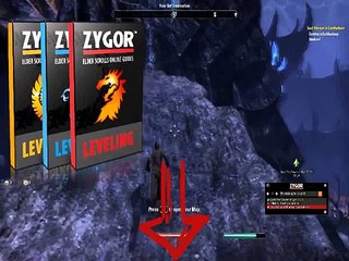 Zygor Guides | Best Selling Guides