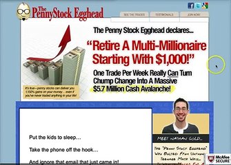 The Penny Stock Egghead Review - Scam or Legit?