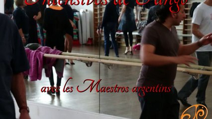 N' LINEA Anglet Compilation Stages Tango  23 janvier 2016 (Version courte)