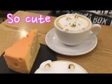 Cat Latte and Cheese Shaped Cheese Cake in Seoul Cafe