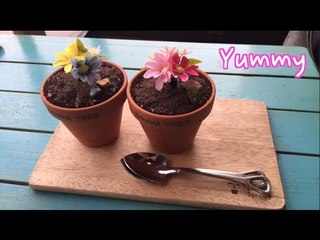 Banana Pudding Flower Pots in Seoul Dessert Vlog