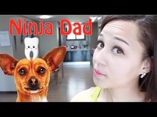 Now thats funny: Korean Ninja dad chihuahua subway