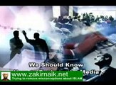 Dr. Zakir Naik Videos.  About Sania Mirza!