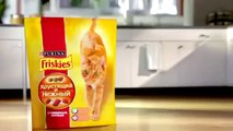 Реклама корма для кошек Friskies