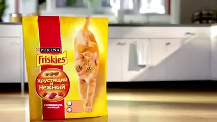 Реклама корма для кошек Friskies